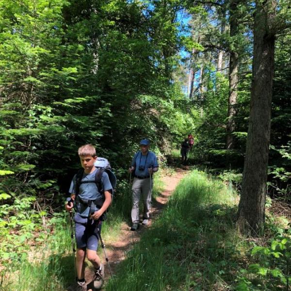 Familie wandert in einem Wald bei Sondrup
