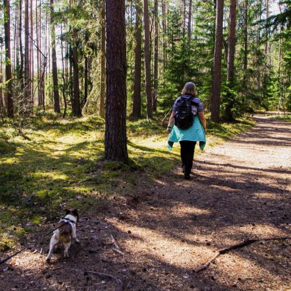 Frau geht mit Hund im Wald spazieren