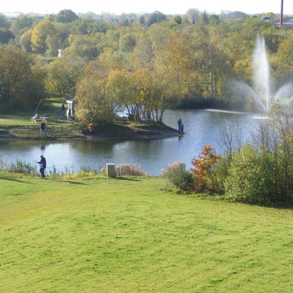 Luftbild von den Angelseen beim Hedensted Put & Take