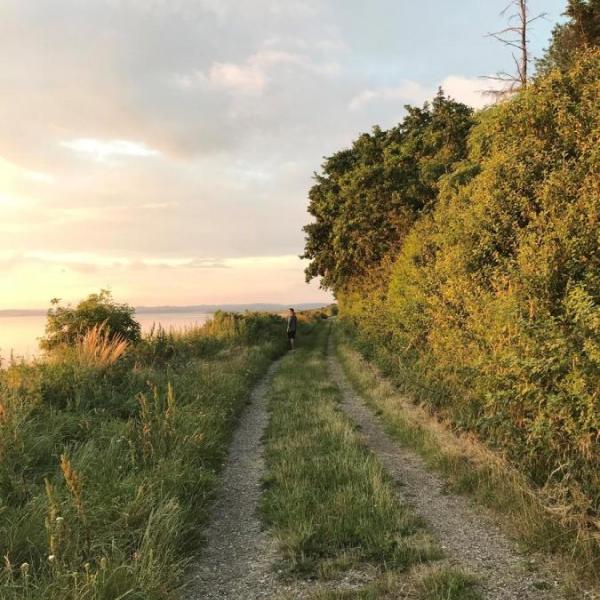 Mann auf Wanderpfad bei Borre Knob am Horsens Fjord