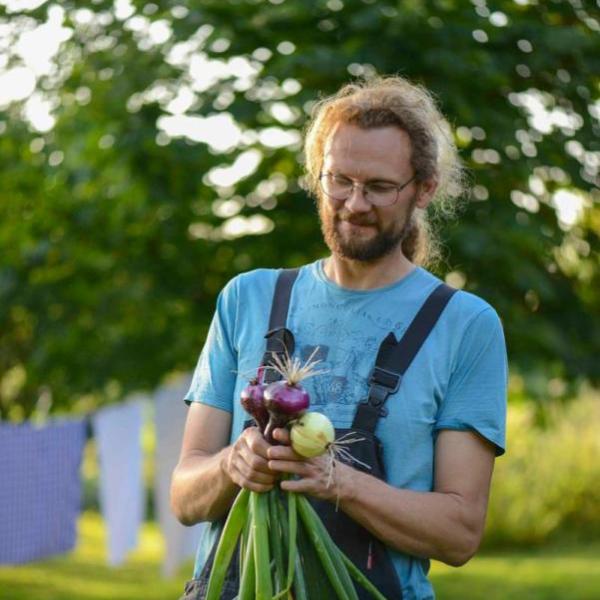 Søren Sørøver vom Brandbygegaard präsentiert feine, frisch geerntete Zwiebeln im Garten nahe Alrø in Odder