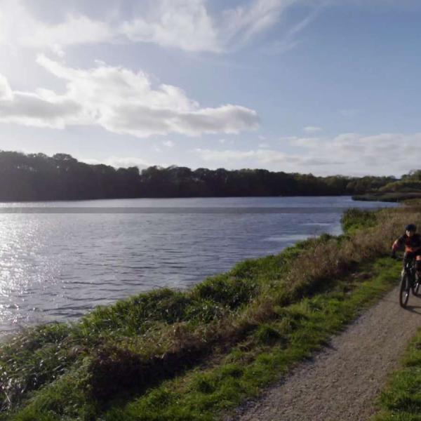 Gruppe von Mountainbikern am Bygholm See