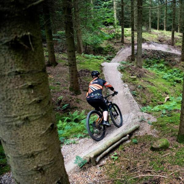 Mann fährt mit dem Mountainbike auf dem Trail im Wald von Bjerre