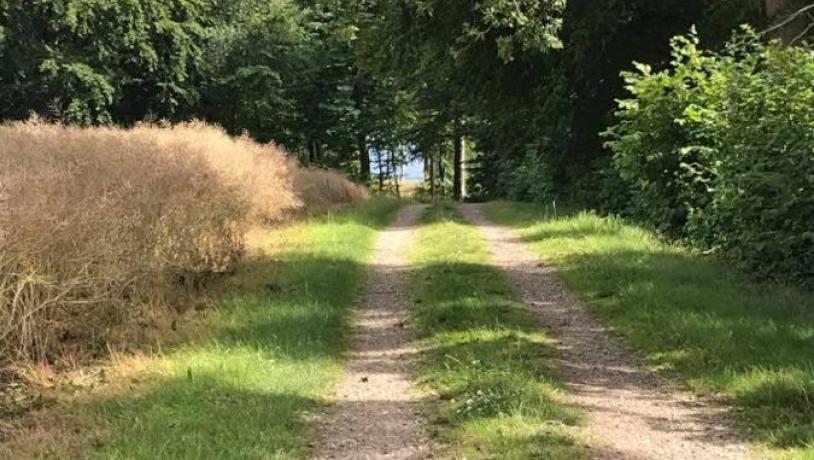 Der Küstenpfad Snaptun–Juelsminde