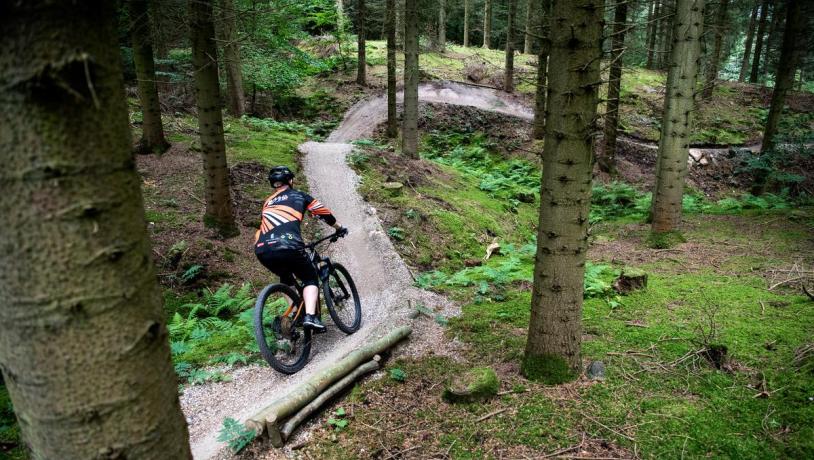 Die Mountainbike-Strecke im Bjerre Wald
