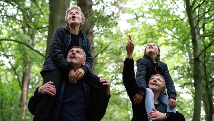 Familie spaziert im Wald von Staksrode