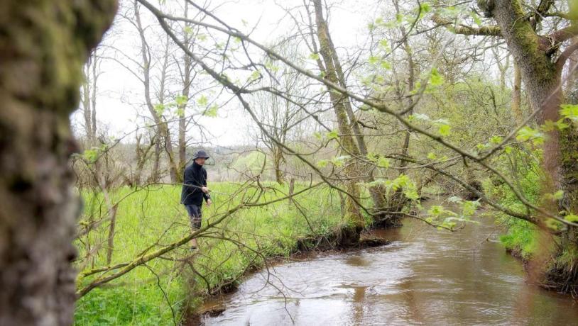 Mann angelt vom Ufer des Gudenå aus