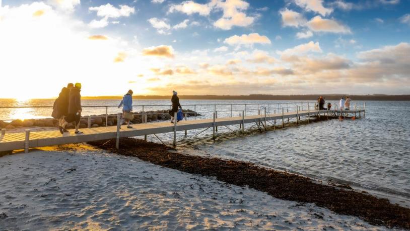 Vinterbadere ved Husodde Strand