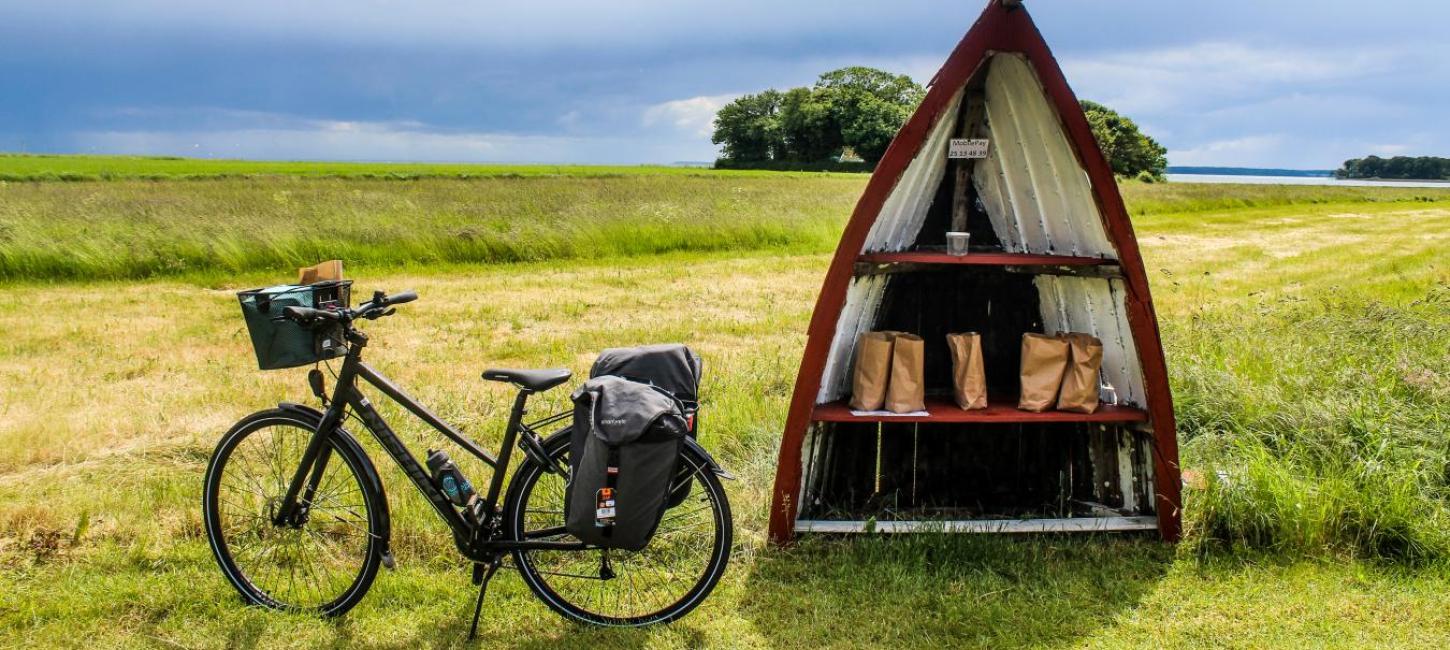 Fahrrad und Straßenstand beim Horsens Fjord