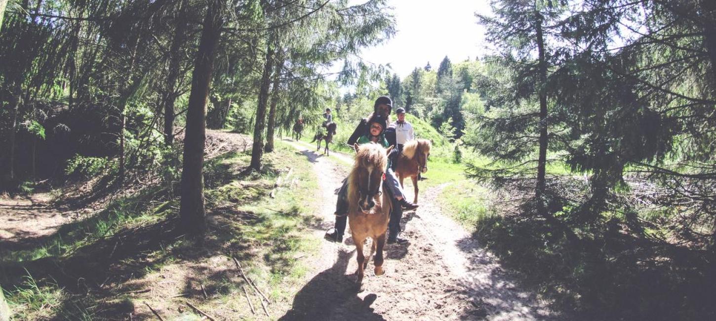 Fuglsang Rideture Ausritte durch das Hügelland