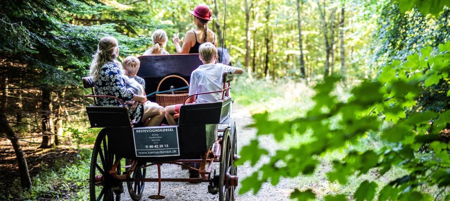 Kimbri fährt mit Pferdewagen durch den Wald von Fløjstrup