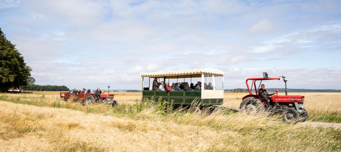 Geführte Tour auf Hjarnø mit rotem Traktor
