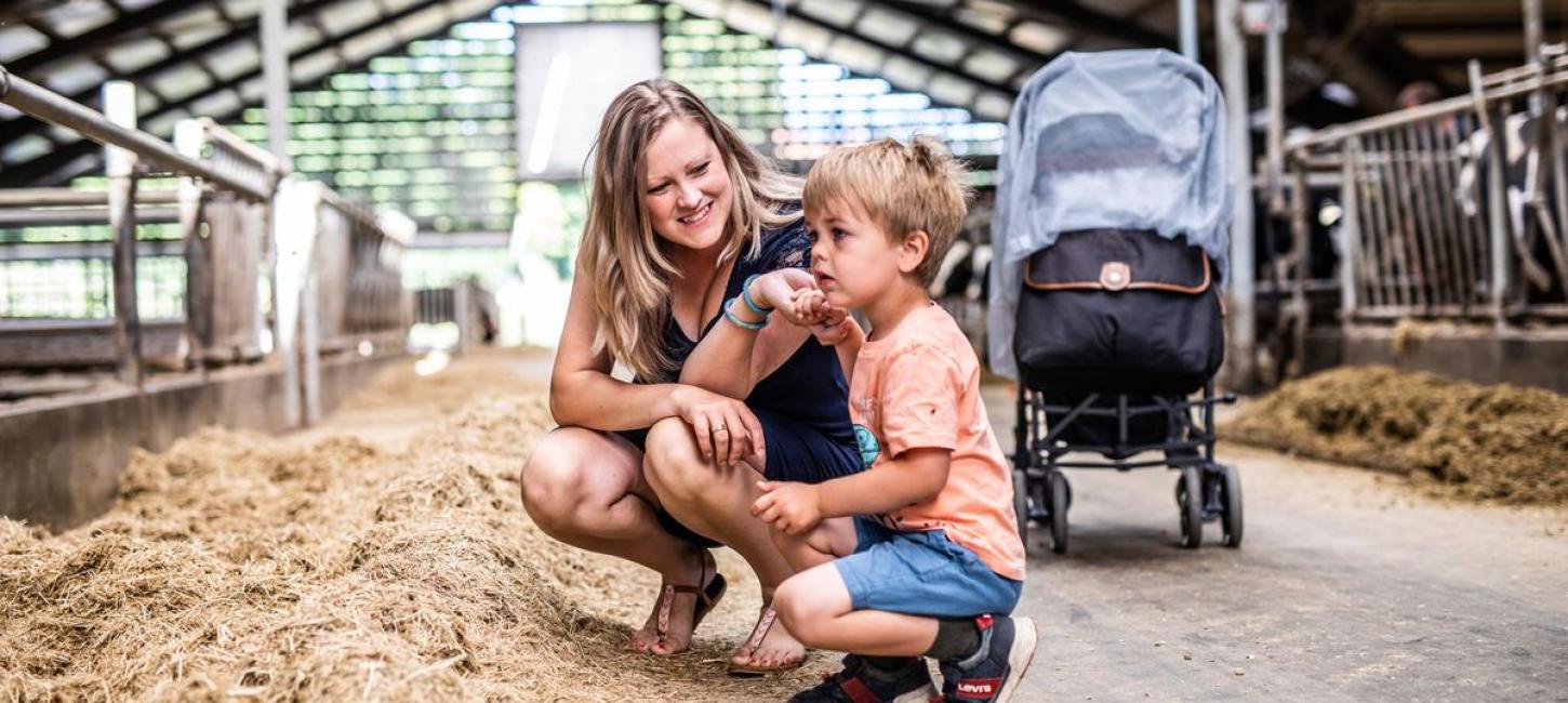 Familie zu Besuch in der Molkerei des Vejlskovgaard