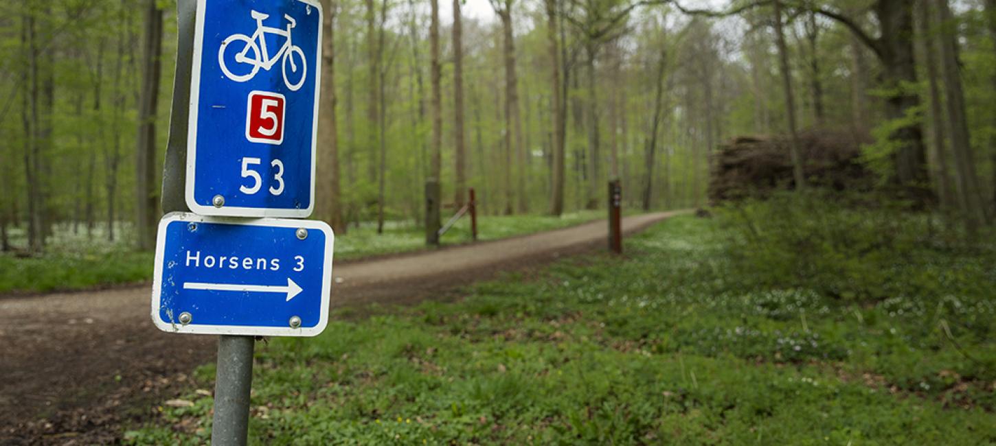 Schild im Wald von Boller im Küstenland