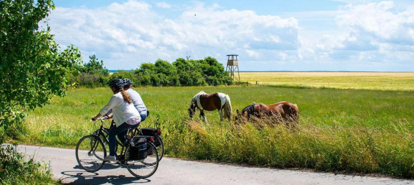 Fahrradurlaub auf der Insel Endelave im Küstenland in Dänemark
