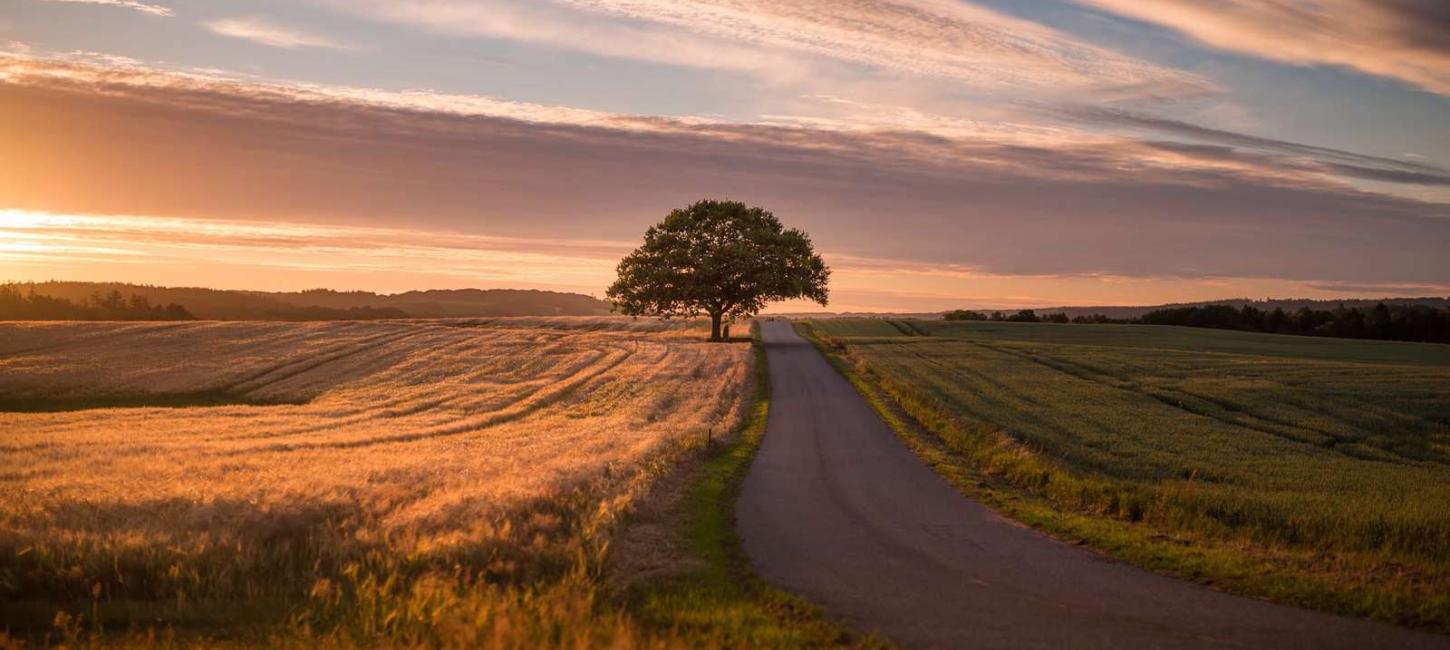 Das Hügelland – ein Teil der Urlaubsregion Küstenland