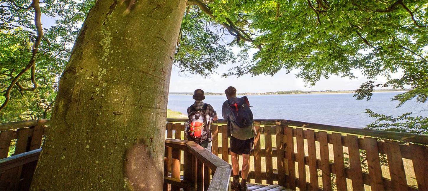 Zwei Männer genießen die Aussicht über Horsens Fjord vom Aussichtsturm am Küstenpfad aus