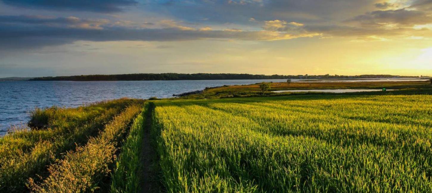 Sonnenübergang über einem Feld auf Hjarnø