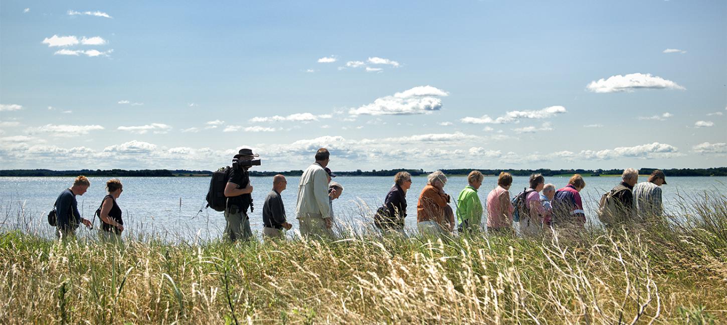 Eine große Gruppe macht entlang des Horsens Fjord einen Spaziergang