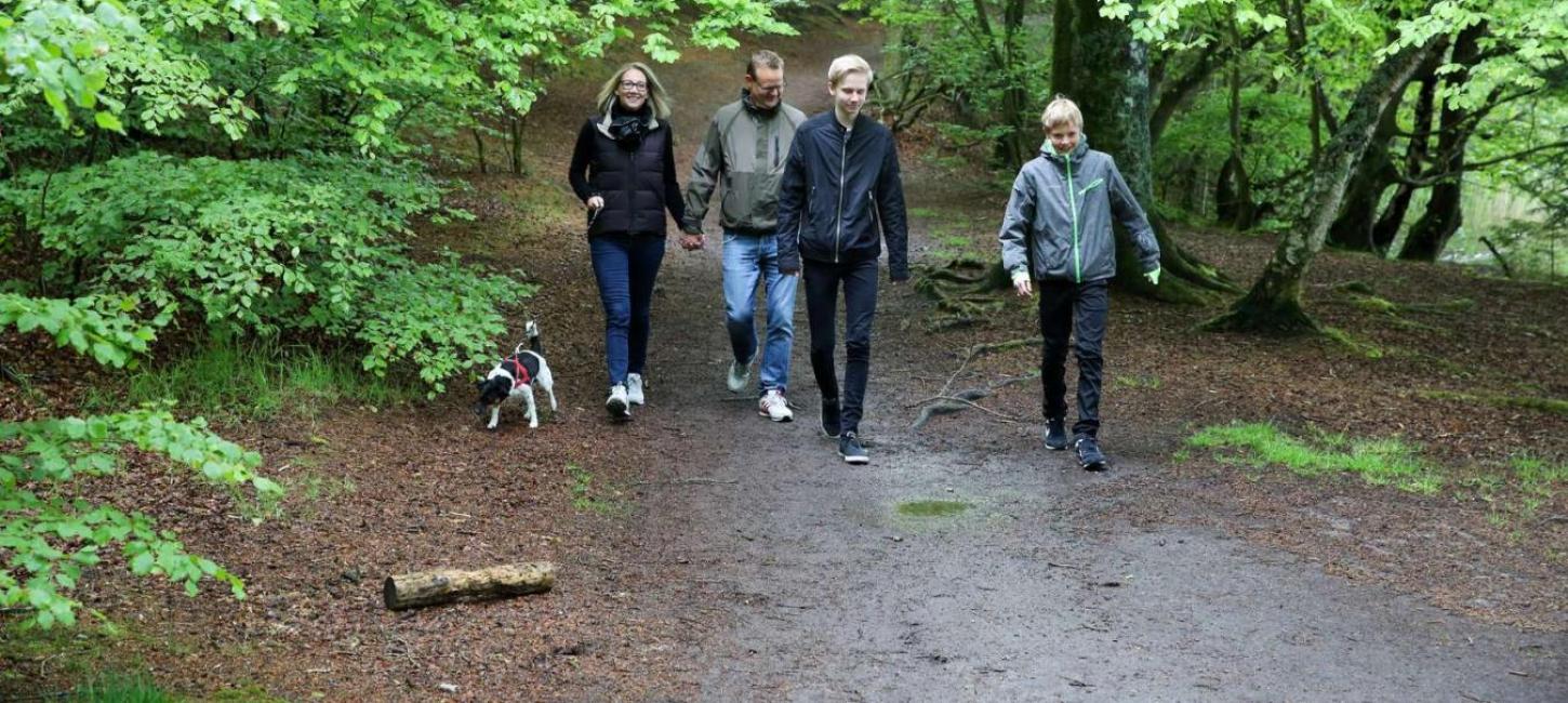 Familie geht mit Hund im Wald spazieren