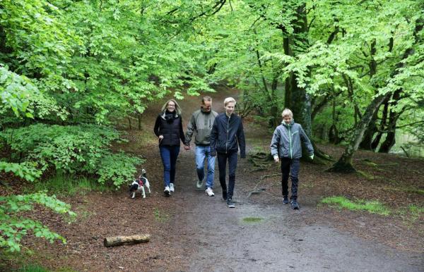 Familie geht mit Hund im Wald spazieren