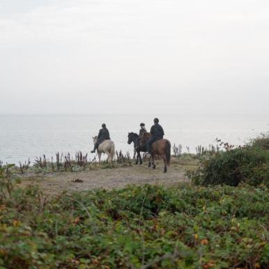 Rid på heste på Endelave med Turridning Endelave i Destination Kyslandet