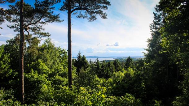 Sondrup Hügel Horsens Fjord