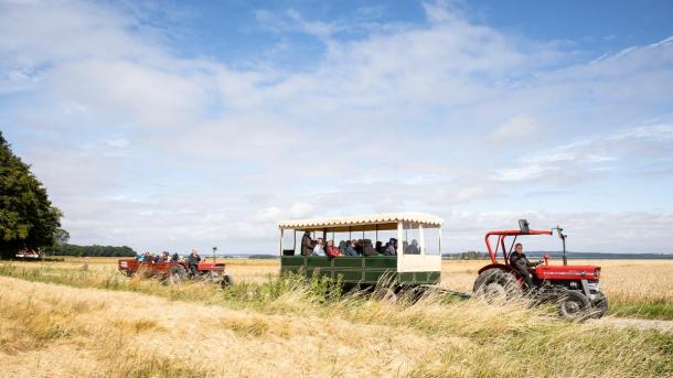 Geführte Tour auf Hjarnø mit rotem Traktor