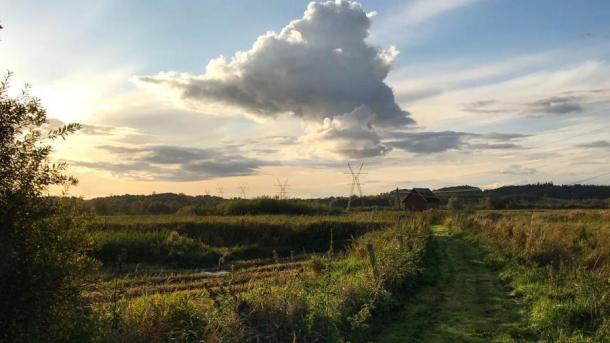 Naturgebiet Die Vier Wiesen in Horsens