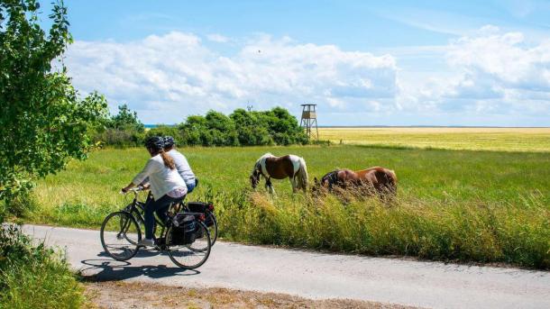 Fahrradurlaub auf der Insel Endelave im Küstenland in Dänemark