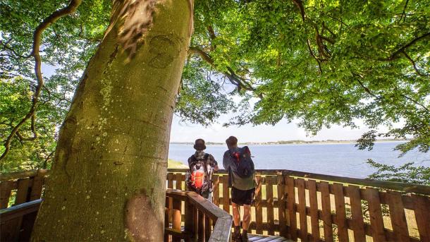 Zwei Männer genießen die Aussicht über Horsens Fjord vom Aussichtsturm am Küstenpfad aus