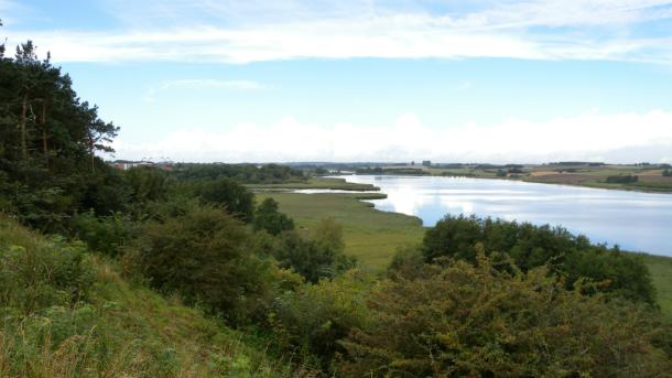 Aussicht über das Wildreservat vom Hügel in Stensballe