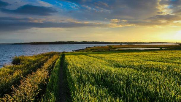 Sonnenübergang über einem Feld auf Hjarnø