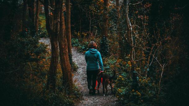 Kvinde går tur med hund i skov