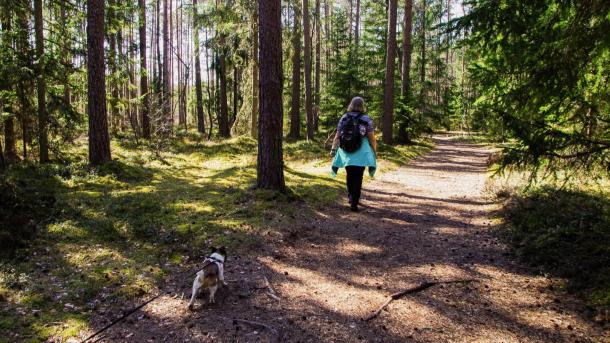 Frau geht mit Hund im Wald spazieren