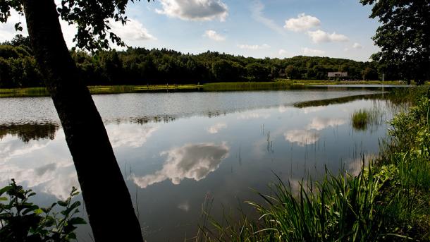 Rørbæk See