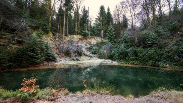 See bei Ryhule mit Wald im Hintergrund