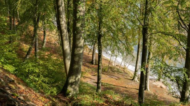 Steilhänge im Staksrode Skov