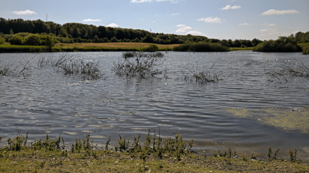 Torsted Engsø in Horsens