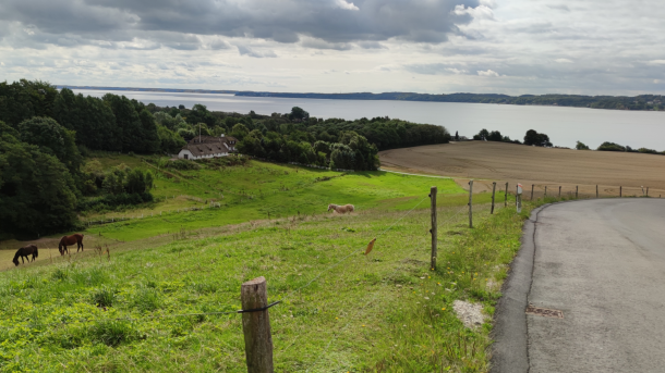 Aussicht über den Vejle Fjord von einem Hügel nahe Daugård Strand