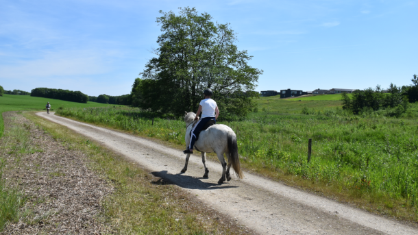 Eine junge Frau reitet bei Bendixminde in Odder auf dem Reitpfad