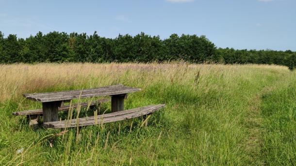 Picknicktisch am Trampelpfad im Wald von Sebberup