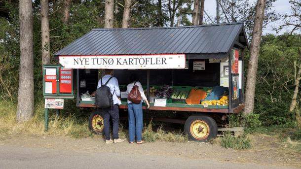 Mann und Frau kaufen Gemüse bei Tunø Kartofler auf Tunø – ein Teil der Urlaubsregion Küstenland