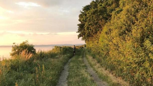 Mann auf Wanderpfad bei Borre Knob am Horsens Fjord