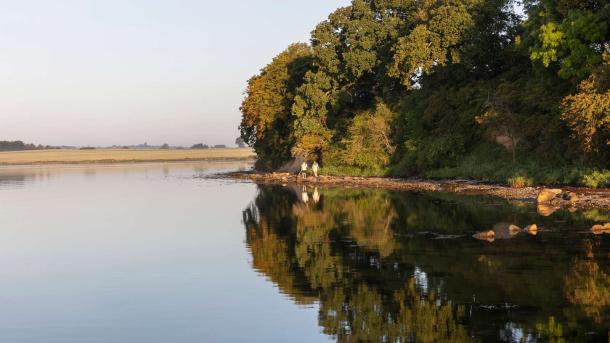 Vandrere på Fjordminoen rundt om Horsens Fjord