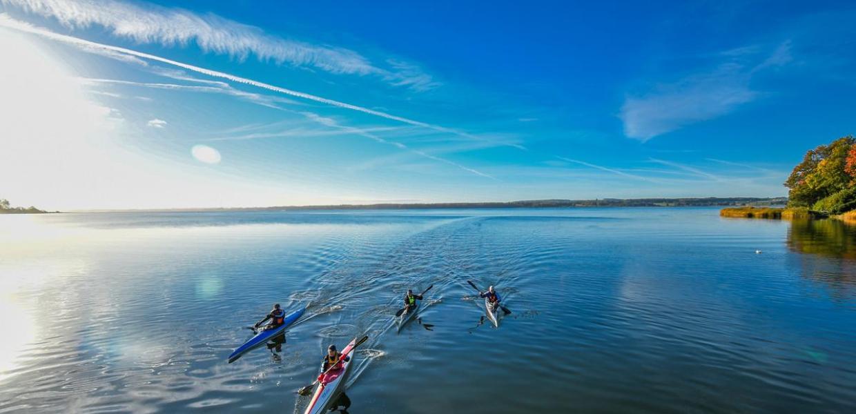 Kajakfahrer im Horsens Fjord