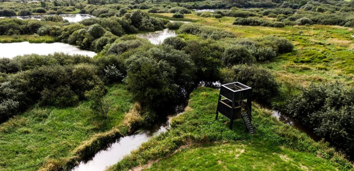 Drohnenbild von Uldum Kær und dem Vogelturm im Küstenland