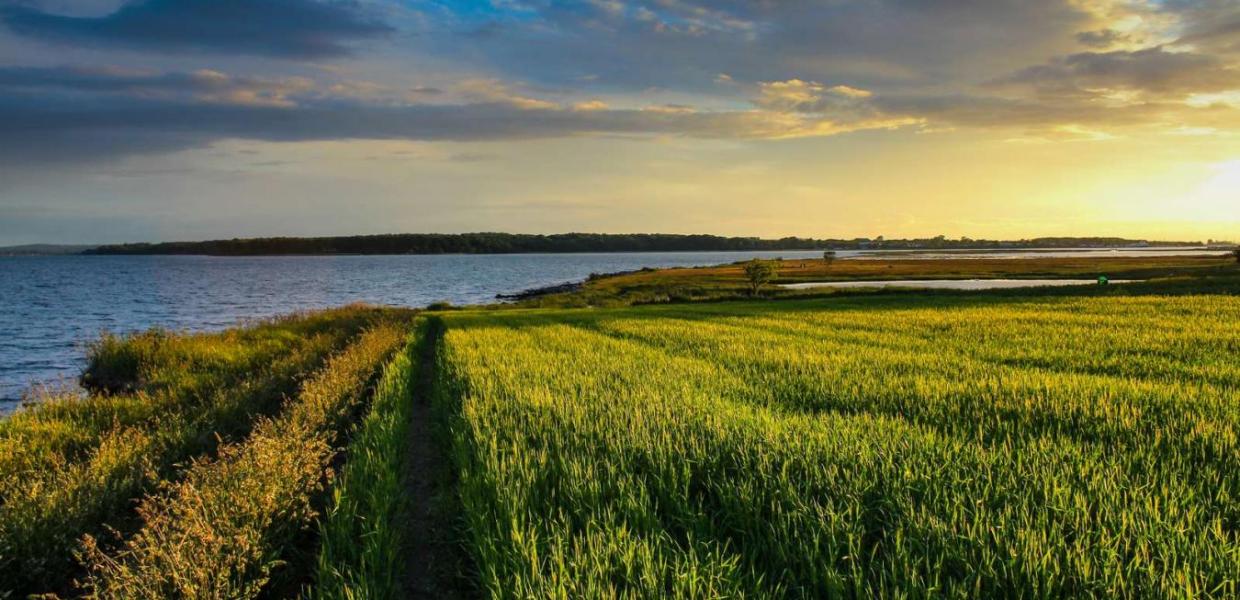 Sonnenübergang über einem Feld auf Hjarnø