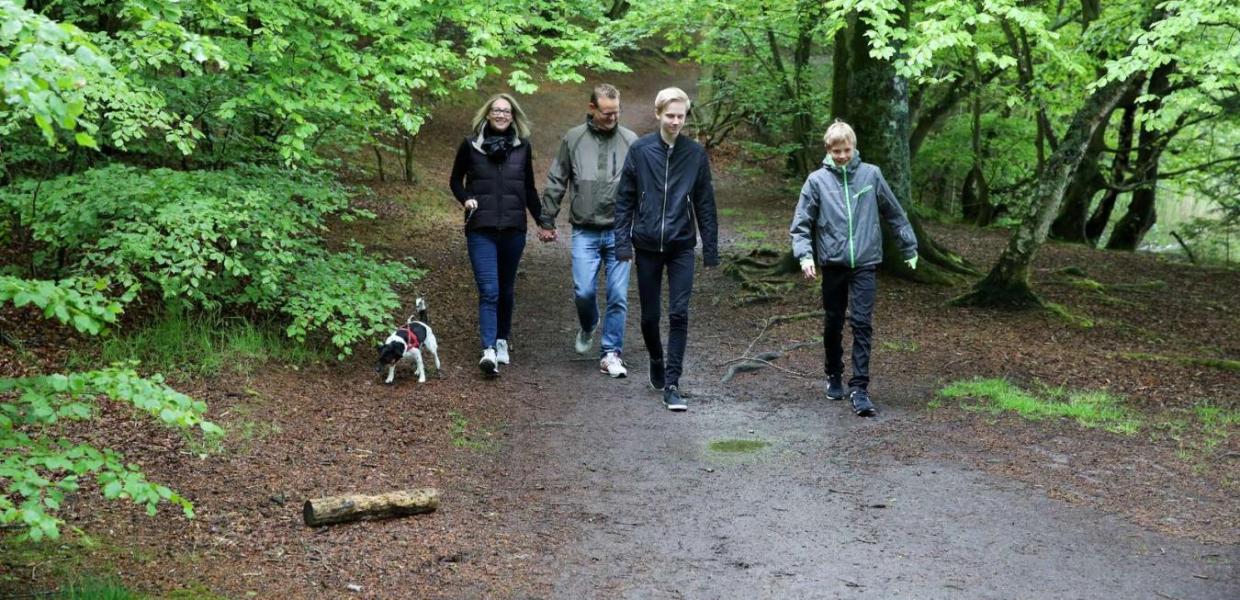 Familie geht mit Hund im Wald spazieren