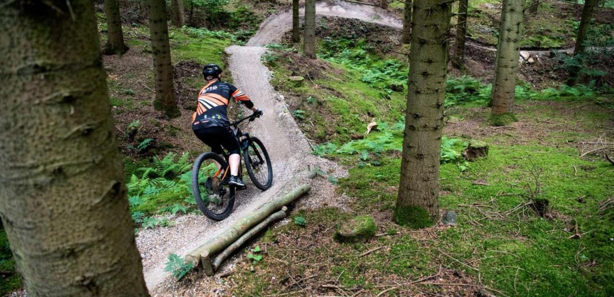 Mann fährt mit dem Mountainbike auf dem Trail im Wald von Bjerre